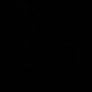 Meet your Posher, Gigi